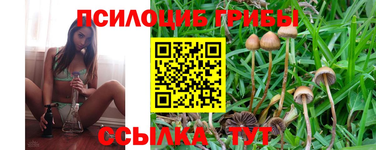 Галлюциногенные грибы мицелий Котлас